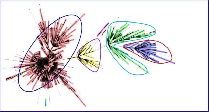 結(jié)核分枝桿菌快速分型溯源檢測系統(tǒng)