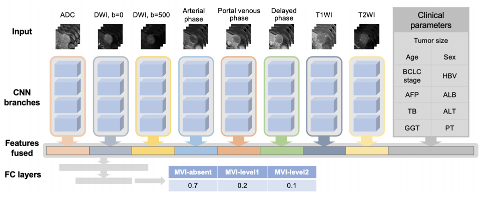 基于多模態(tài)影像的肝癌智能診斷技術(shù)研究與系統(tǒng)開(kāi)發(fā)
